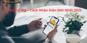Nhà cái bịp - dấu hiệu nhận biết chi tiết